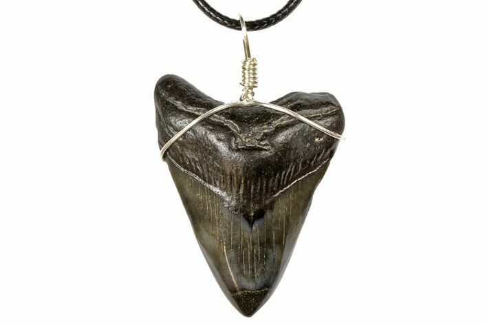 Fossil Megalodon Tooth Necklace #130914